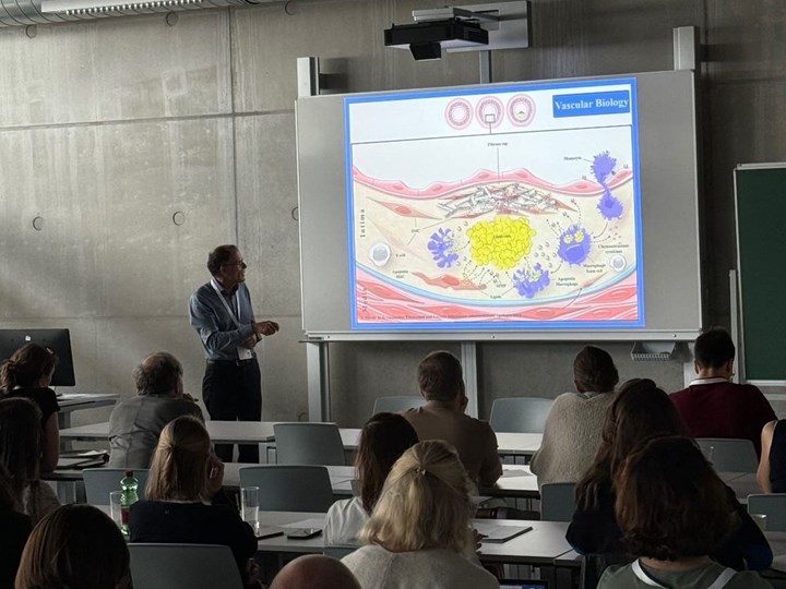 Schlaganfall Summer School 2024 und Schlaganfall-Nachsorgetreffen in Linz