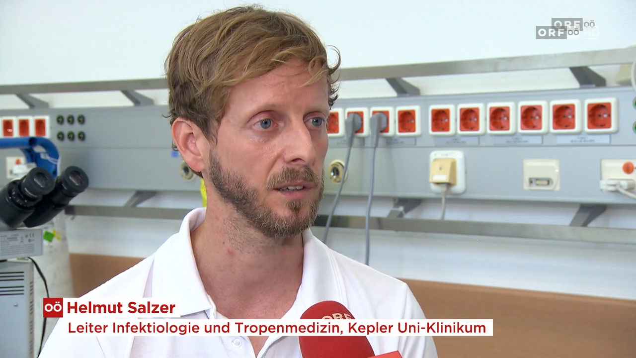 Mücken als Krankheitsüberträger