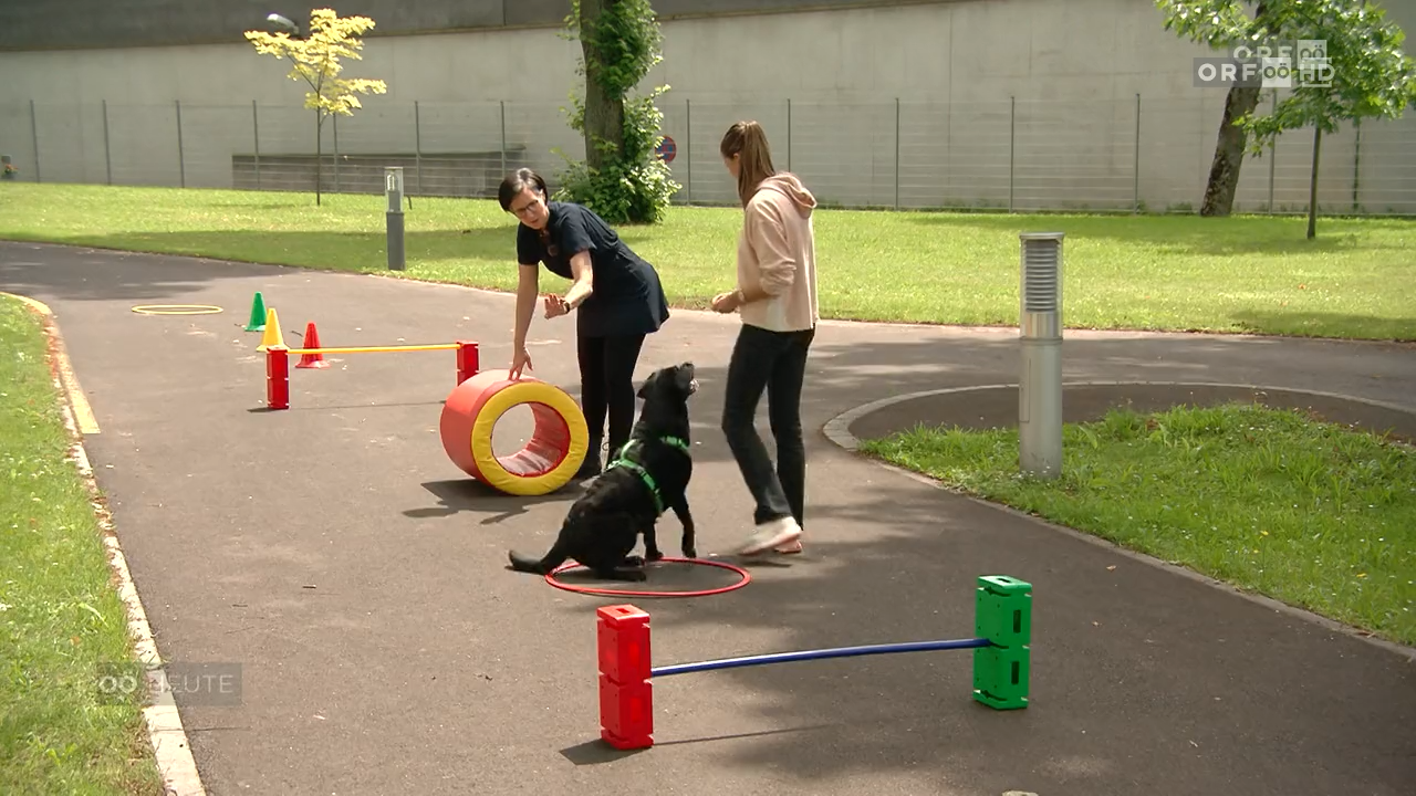 Therapie mit WAU-Effekt