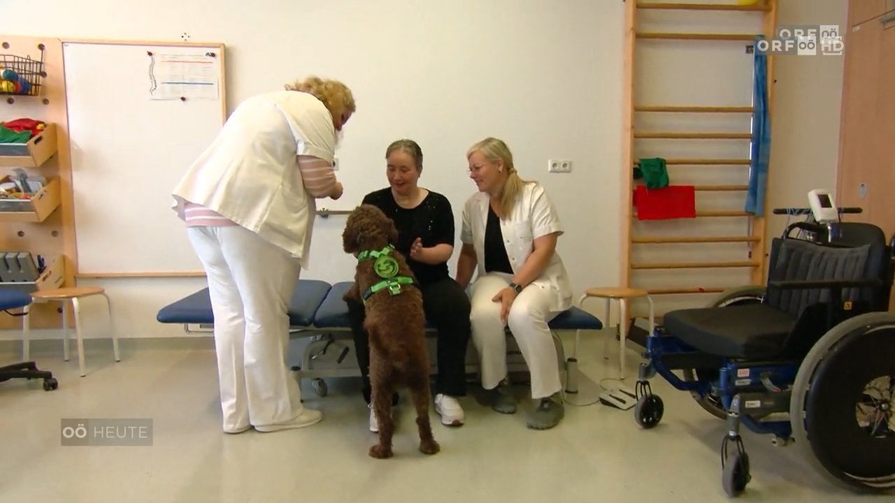 Therapie mit WAU-Effekt