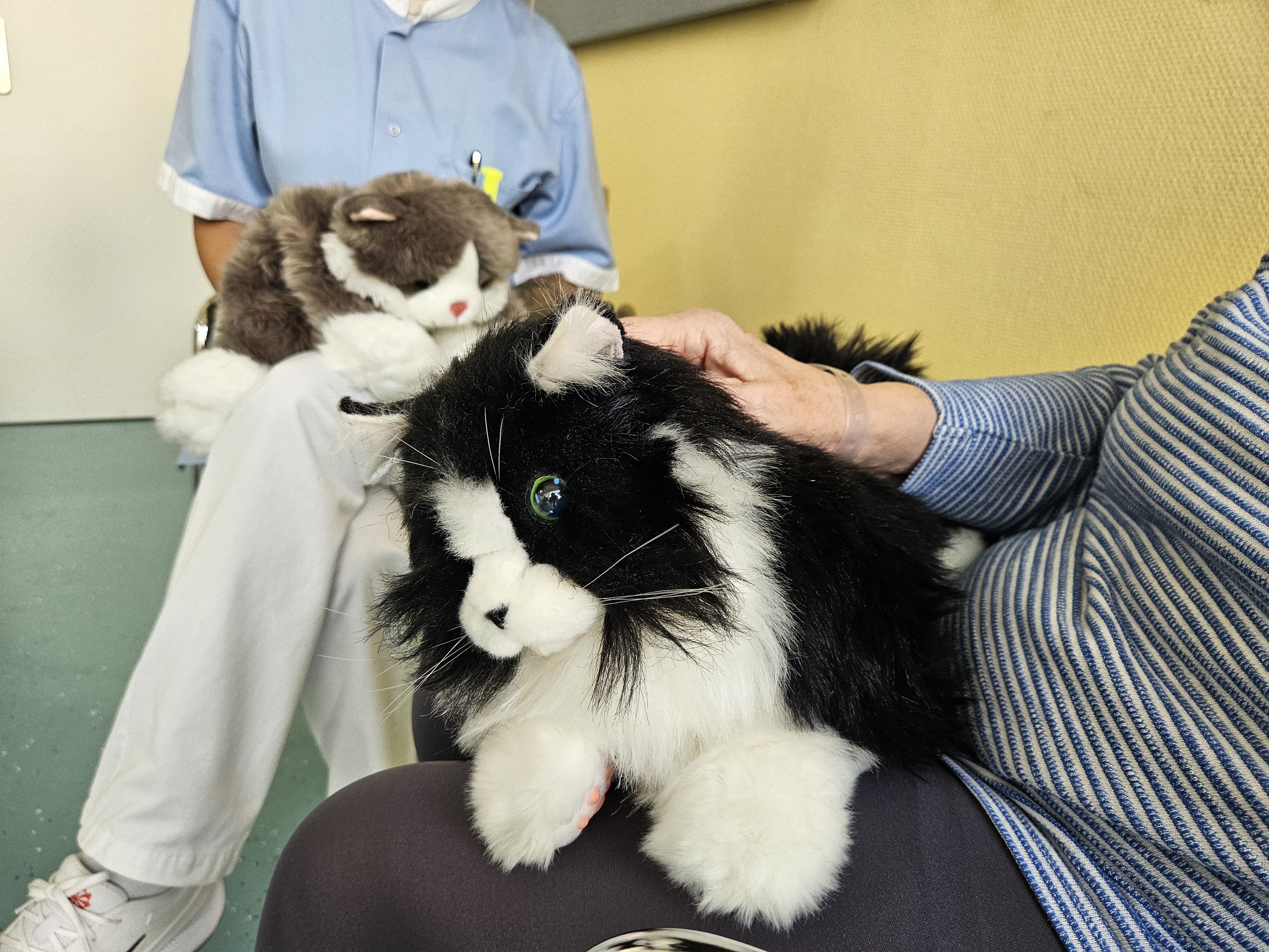 Patientin mit Roboterkatze