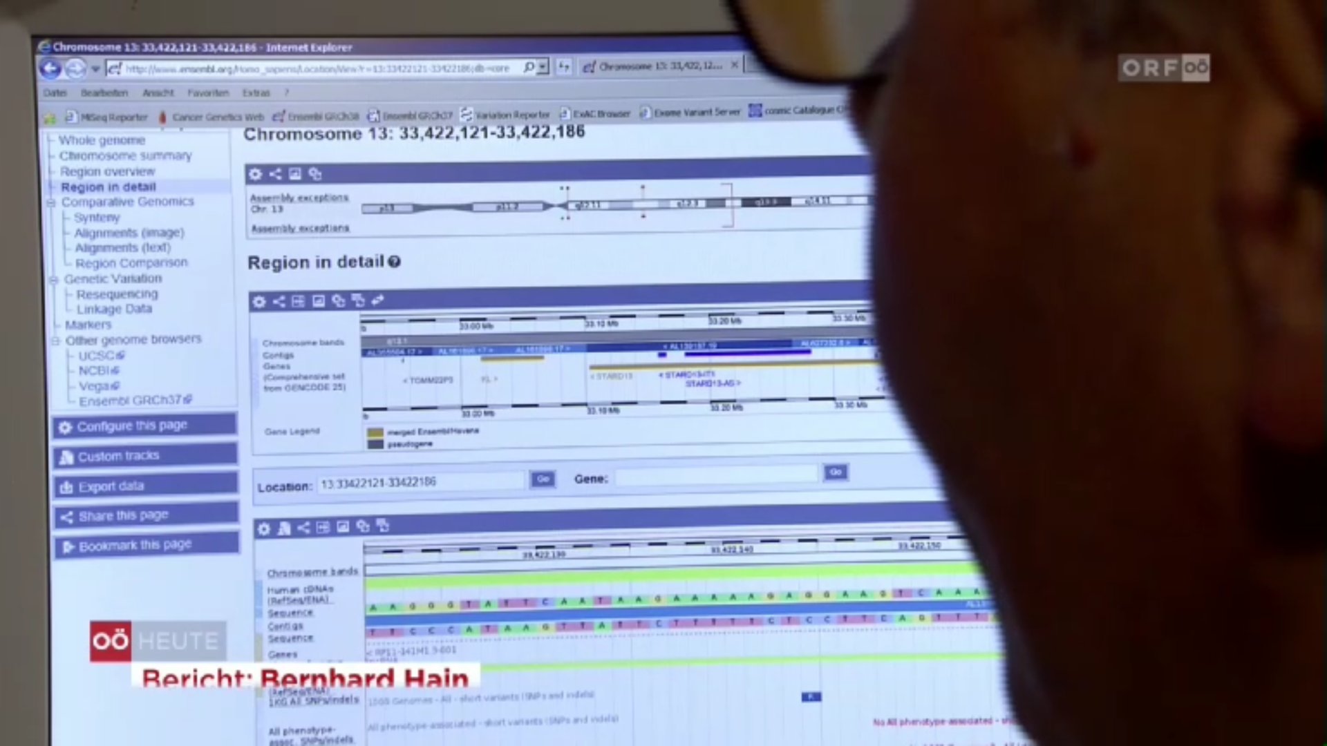 Gezieltere Therapiemöglichkeiten durch "Big Data" in der Krebsbehandlung